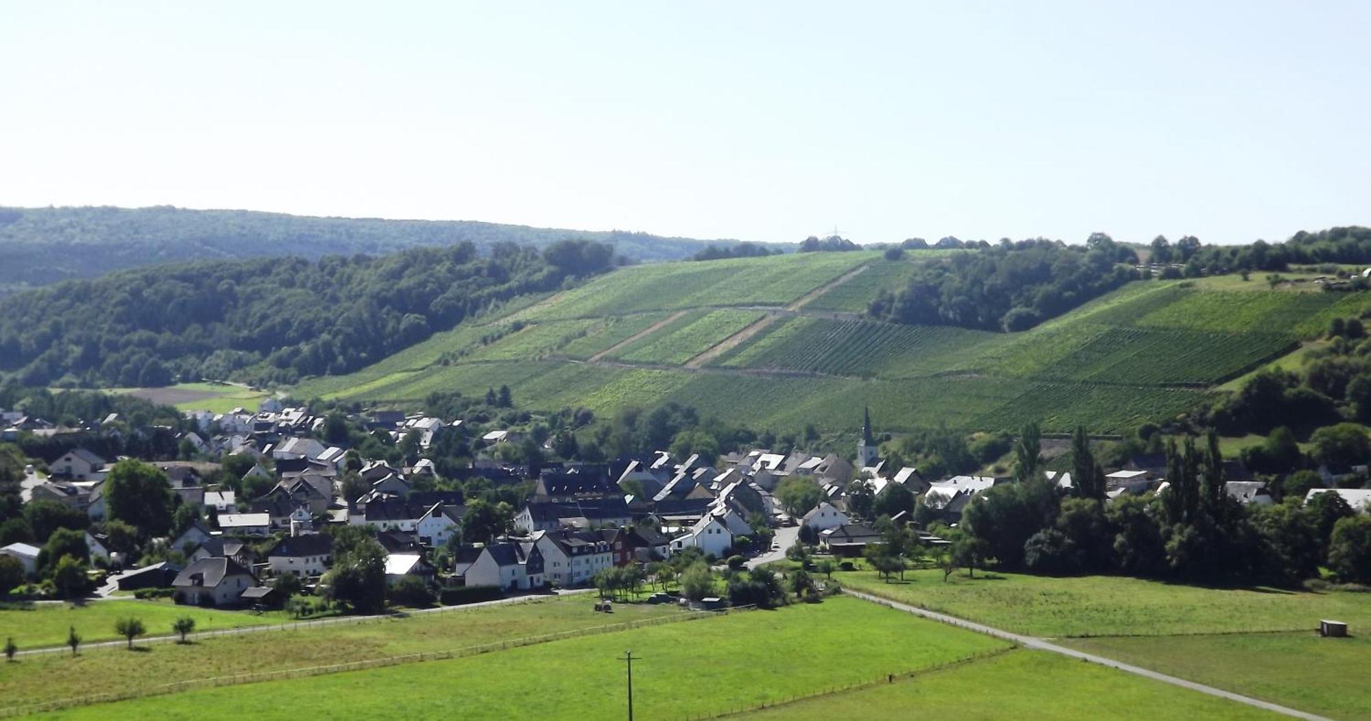 Апартаменти Ferienweingut & Gutsrestaurant Becker Burgen  Екстер'єр фото